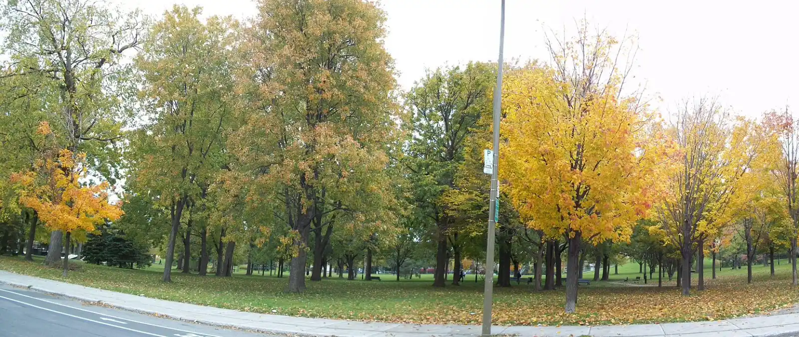 Ahuntsic